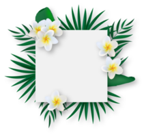 White Empty Summer Frame with Tropical Flowers png