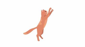 Animated playing cat animal. Active red pet. Full body flat animal on white background with alpha channel transparency. Cute creature colorful cartoon style HD video footage for animation