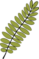 Einfachheit florale Freihandzeichnung flaches Design. png