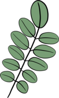 Einfachheit florale Freihandzeichnung flaches Design. png