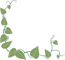 Simplicity ivy freehand drawing png