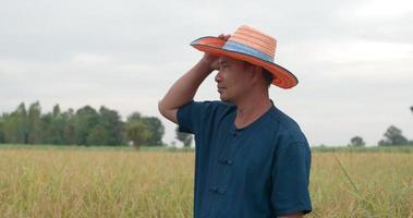 foto de retrato de un granjero asiático cansado quitándose un sombrero en el campo de arroz. video