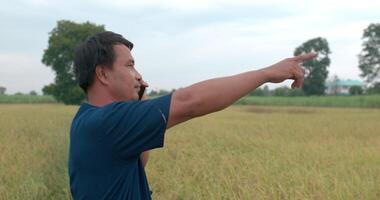 Side view of Happy Asian farmer man in a blue dress talking on mobile phone and pointing finger aside in the paddy field. video