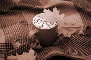 Autumn leaves and hot steaming cup of coffee lies on checkered plaid outdoors photo