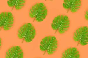 Tropical palm monstera leaves lies on a pastel colored paper. Nature summer concept pattern. Flat lay composition. Top view photo