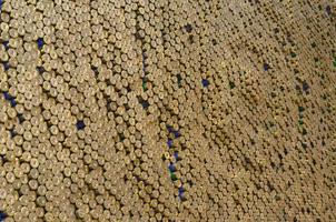 Pattern of 12 gauge cartridges for shotgun bullets. Shells for hunting rifle close up. Backdrop for shooting range or ammunition trade concepts photo