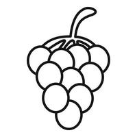 icono de uvas, estilo de contorno vector