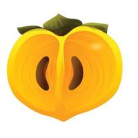 Half persimmon icon, cartoon style vector