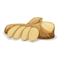 Fresh ginger root icon, cartoon style vector