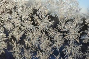 Snowflakes frost rime macro on window glass pane photo