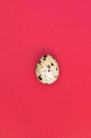 One quail egg on a light red surface, top view, empty place for text photo