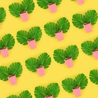 Tropical palm monstera leaves lies in a pastel pails on a colored background. Flat lay trendy minimal pattern. Top view photo