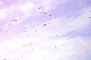 muchas gaviotas blancas vuelan en el cielo azul nublado foto