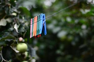 Clothespins on a rope hanging outside house and apple tree photo