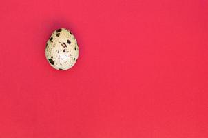 One quail egg on a light red surface, top view, empty place for text photo