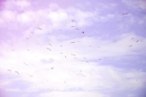 muchas gaviotas blancas vuelan en el cielo azul nublado foto