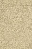 The texture of the beige decorative plaster in bark beetle style