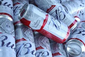 SUMY, UKRAINE - AUGUST 01, 2022 Many Cans of Budweiser Lager Alcohol Beer - Budweiser is a Brand from Anheuser-Busch Inbev photo