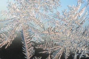 Snowflakes frost rime macro on window glass pane photo