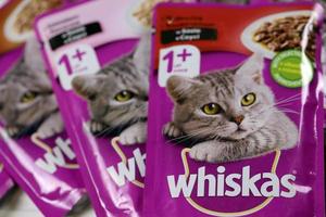 KHARKIV, UKRAINE - FEBRUARY 06, 2022 Whiskas branded cat pet food purple packages close up. Whiskas is a global brand of cat food produced by the American company Mars photo