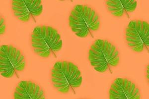 Tropical palm monstera leaves lies on a pastel colored paper. Nature summer concept pattern. Flat lay composition. Top view photo