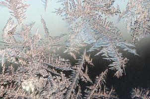 Snowflakes frost rime macro on window glass pane photo