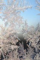 Snowflakes frost rime macro on window glass pane photo