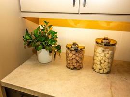 mostrador de cocina con planta y dos recipientes de vidrio foto