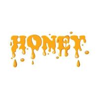 Word honey icon vector