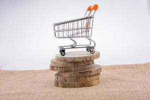 Shopping cart on canvas background