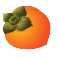 Whole persimmon icon, cartoon style vector