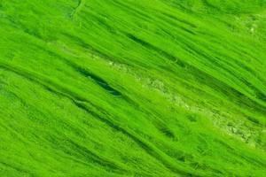 bright green mud close-up. Acid color green background photo