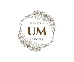 colección de logotipos de monograma de boda con letras iniciales de um, plantillas florales y minimalistas modernas dibujadas a mano para tarjetas de invitación, guardar la fecha, identidad elegante para restaurante, boutique, café en vector