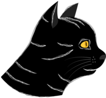 Isolated of side black cat's face. png