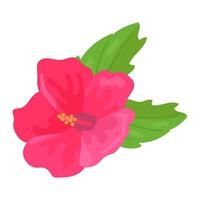 Illustration of tropical hibiscus flower. Decorative exotic plant. vector