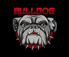 Vector Illustrated Bulldog. face of domestic dog on black background.