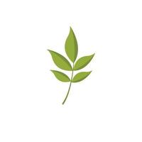 Ash leaf icon, flat style vector