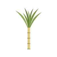 Eco plant cane icon, flat style vector