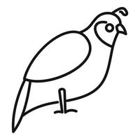 Quail domestic icon, outline style vector