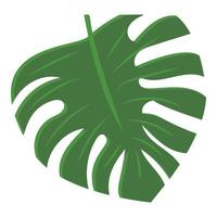 Monstera leaf icon, cartoon style vector