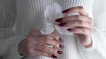 hermosas manos de una mujer joven con manicura roja oscura en las uñas. flor de orquídea en manos de una niña