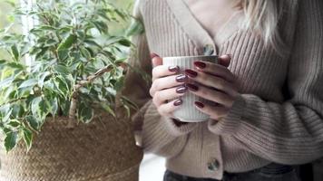 hermosas manos de una mujer joven con manicura roja oscura en las uñas. chica en un suéter sosteniendo una taza de té video