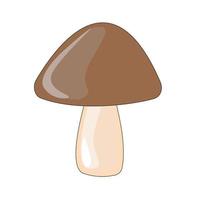 boletus edulis aislado en un fondo blanco. ilustración de personaje de caricatura plana vectorial icono kawaii. diseño de otoño. ilustración vectorial vector