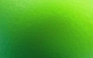 Light Green vector polygon abstract layout.