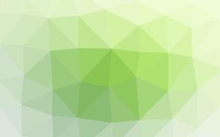 Light Green vector low poly layout.