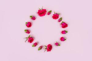 Beautiful roses on pink background, top view. photo