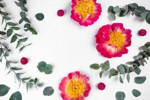 Beautiful sprigs of eucalyptus and peonies on white background, top view. photo