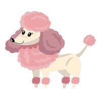 cute dog french poodle vector