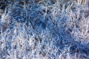 The surface of the river with algae covered with ice. Ice texture. Winter background. photo