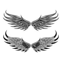 Wings vector illustration template design